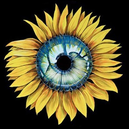 Sunflower Eye — Cover Art by Yosan Leon